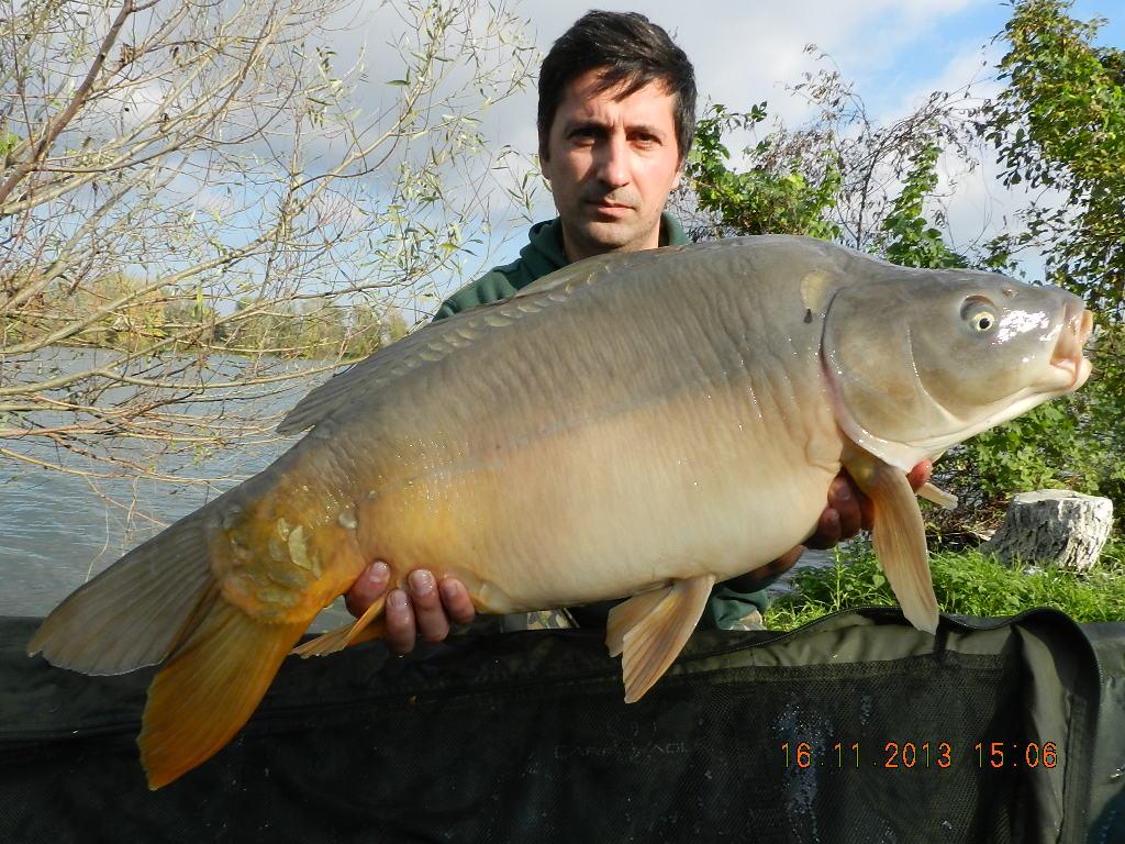 15 noiembrie 2013 - dscn1775.JPG